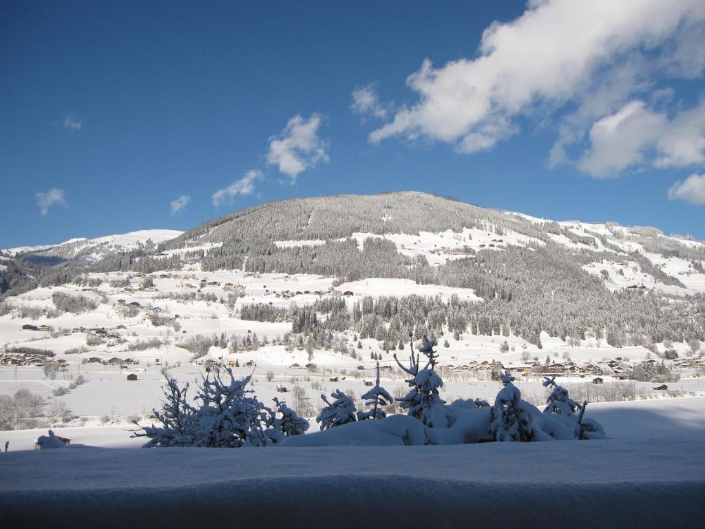Fasserhof Bramberg am Wildkogel Δωμάτιο φωτογραφία